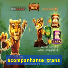 acompanhante trans em santos